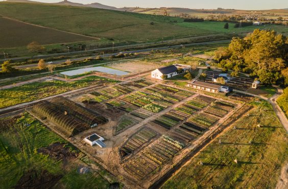 Spier Food Garden