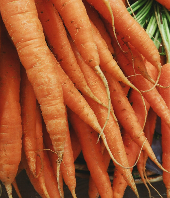 Tips for Boiling Carrots