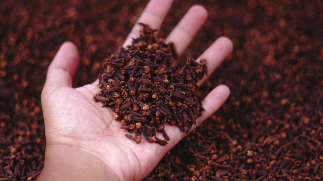 Benefits of cloves