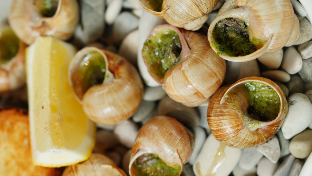 Benefits of eating snails