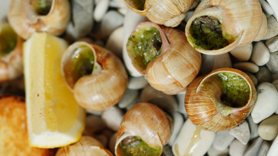 The benefits of eating snails Food & Home Magazine