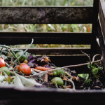 Your home composting guide