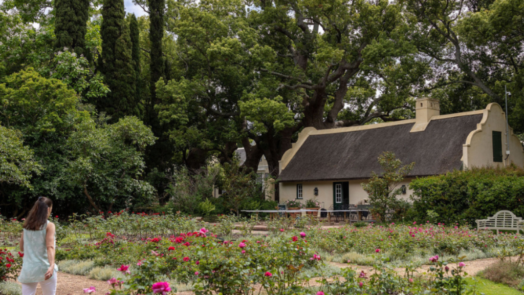 view of the rose garden