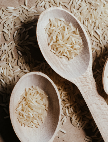 picture of rice grains