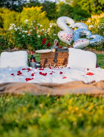 A picnic set up for Valentine's Day