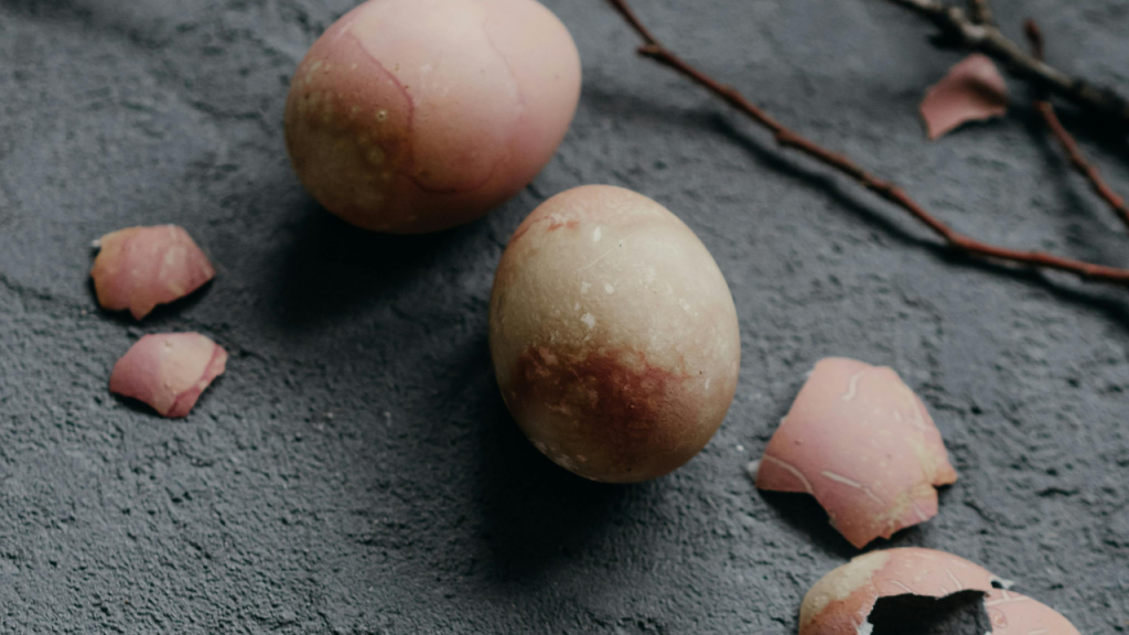 How to use eggshells for plant growth Food & Home Magazine