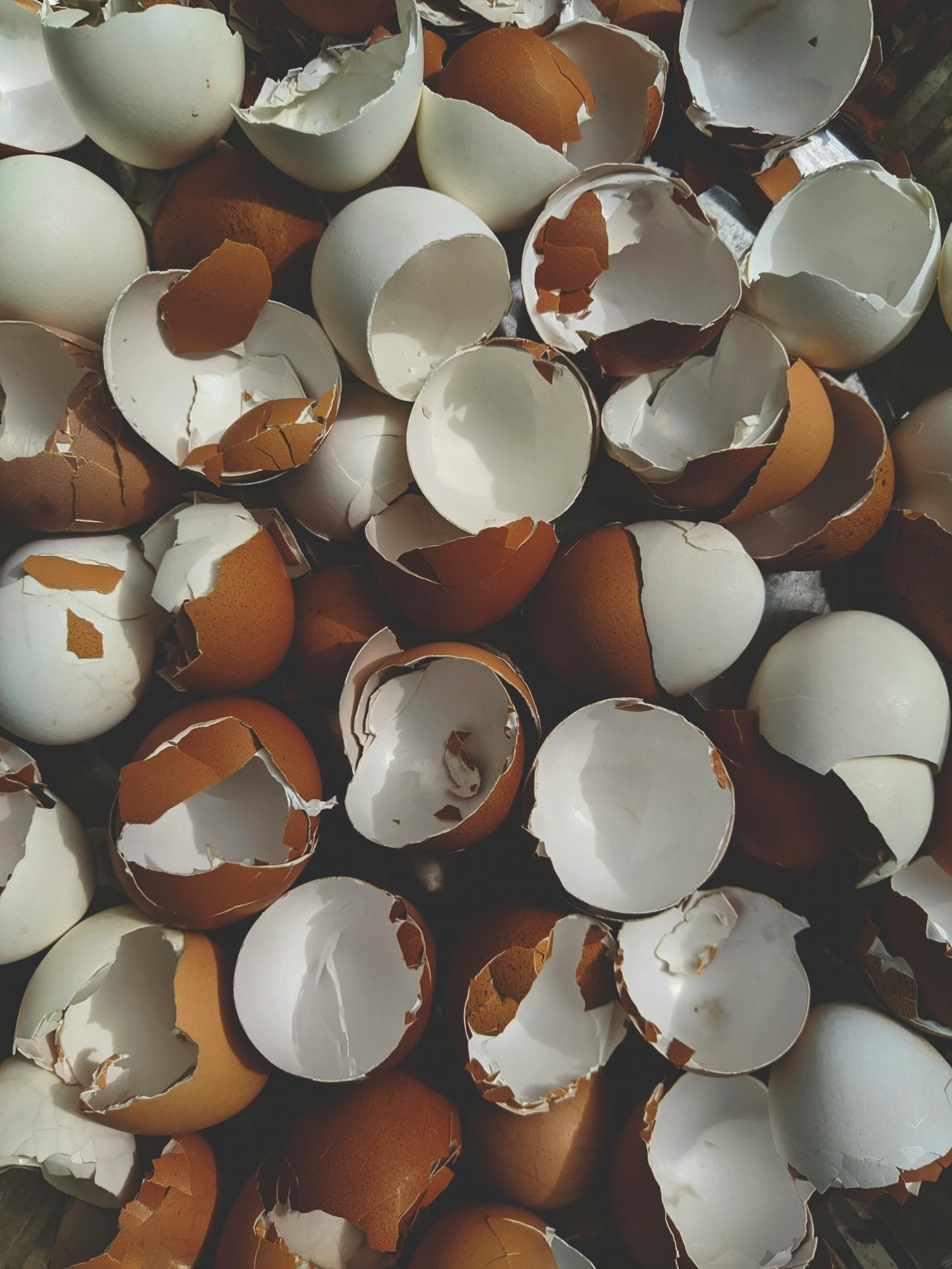 How to use eggshells for plant growth Food & Home Magazine