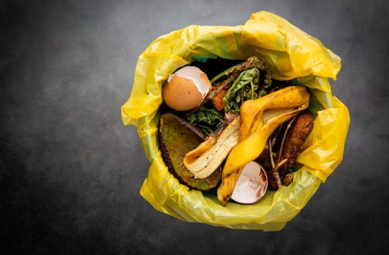 zero-waste cooking