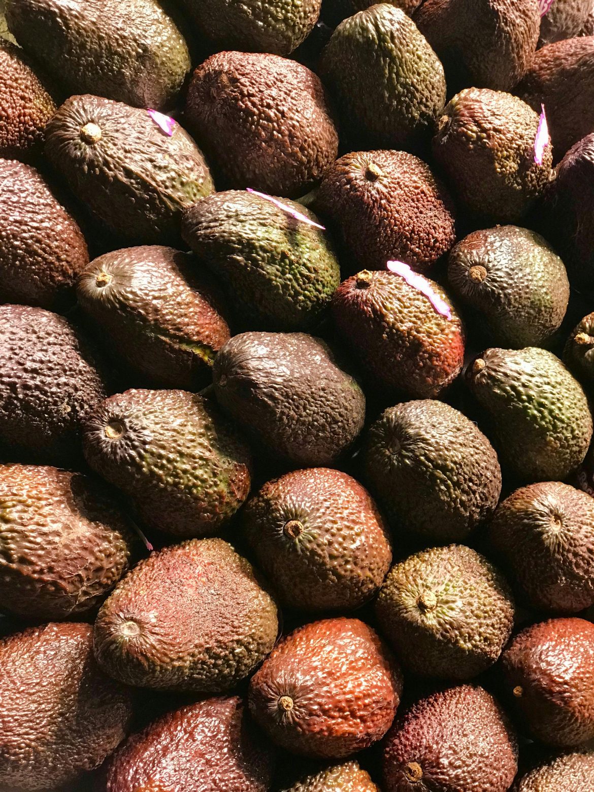 avo
