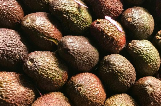 avo