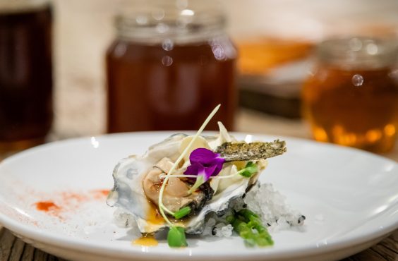 Knsyna Oyster Festival