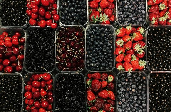 mouldy berries