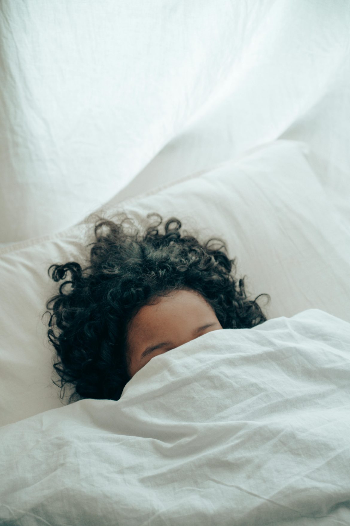 bed bugs