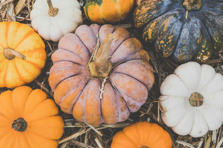 pumpkin leaves