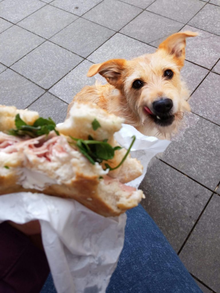 treats
