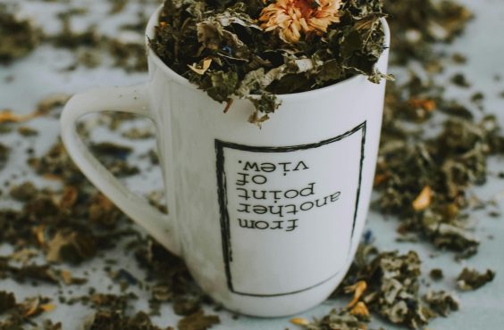 herbs