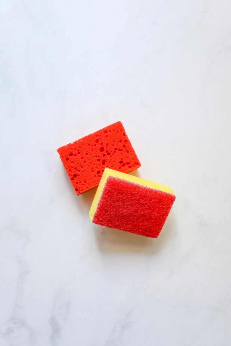 kitchen sponge