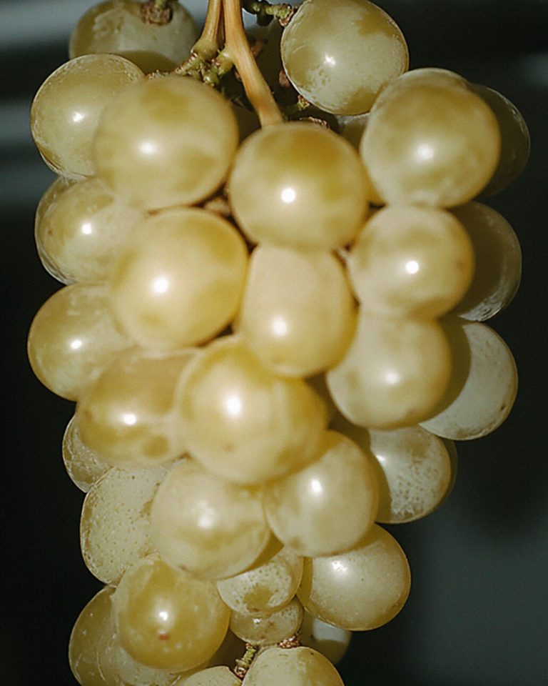 Vinimark
