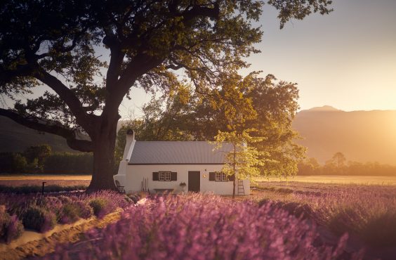JAN Franschhoek