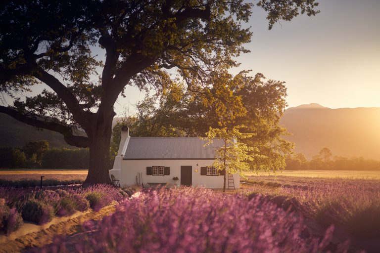 JAN Franschhoek