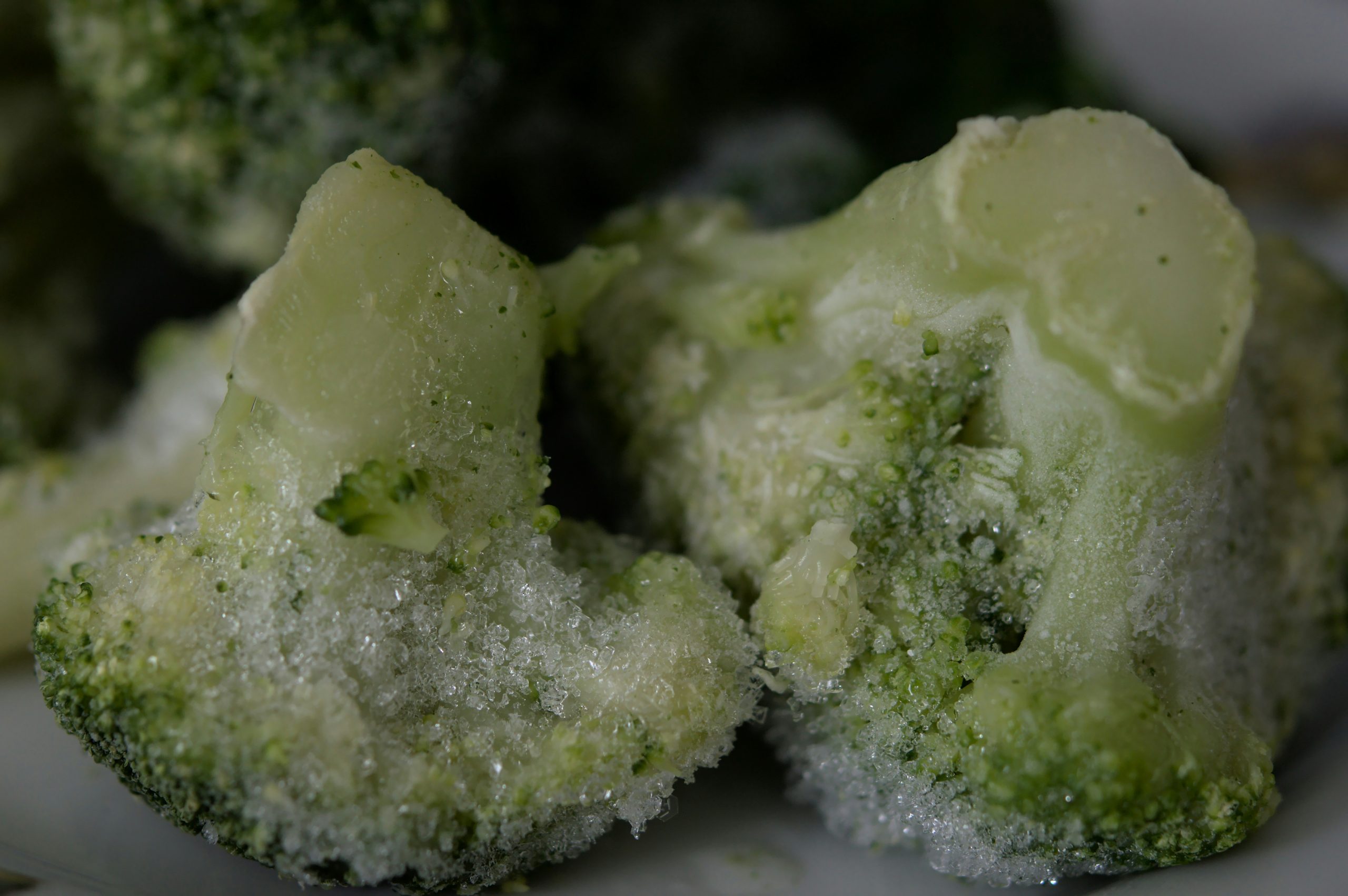 freezer burn