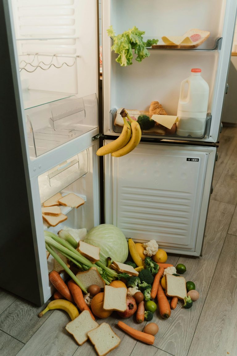fridge