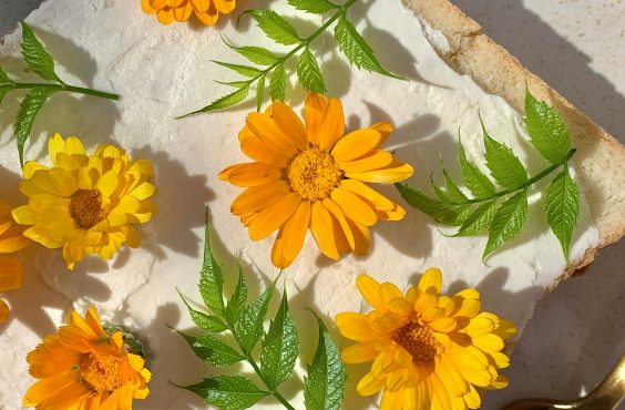 edible flowers