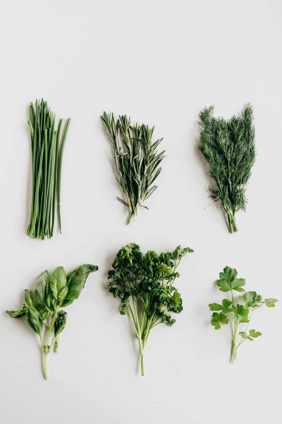 herbs