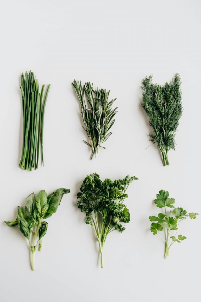 herbs