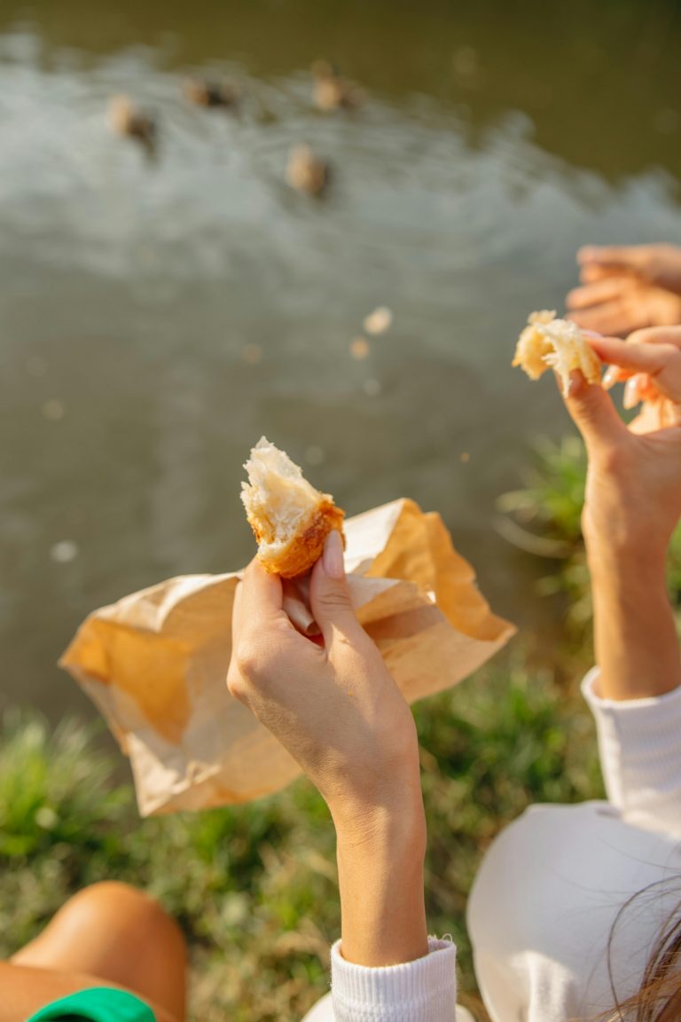feeding birds bread