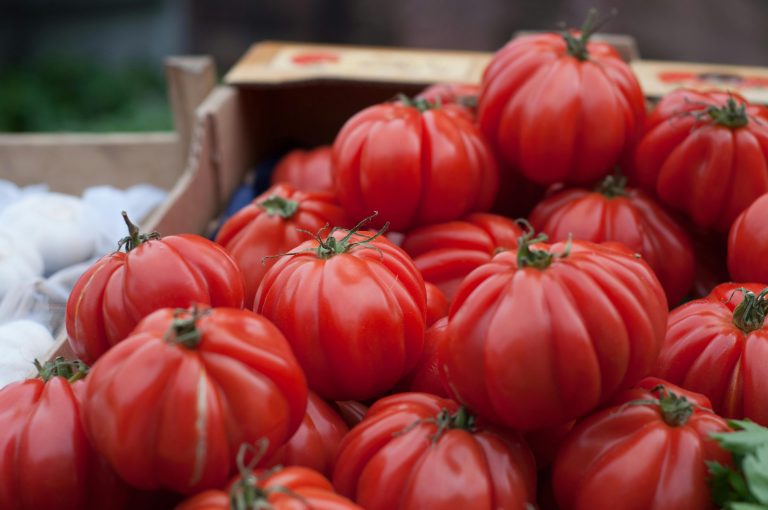 tomatoes