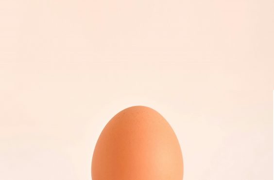 eggs