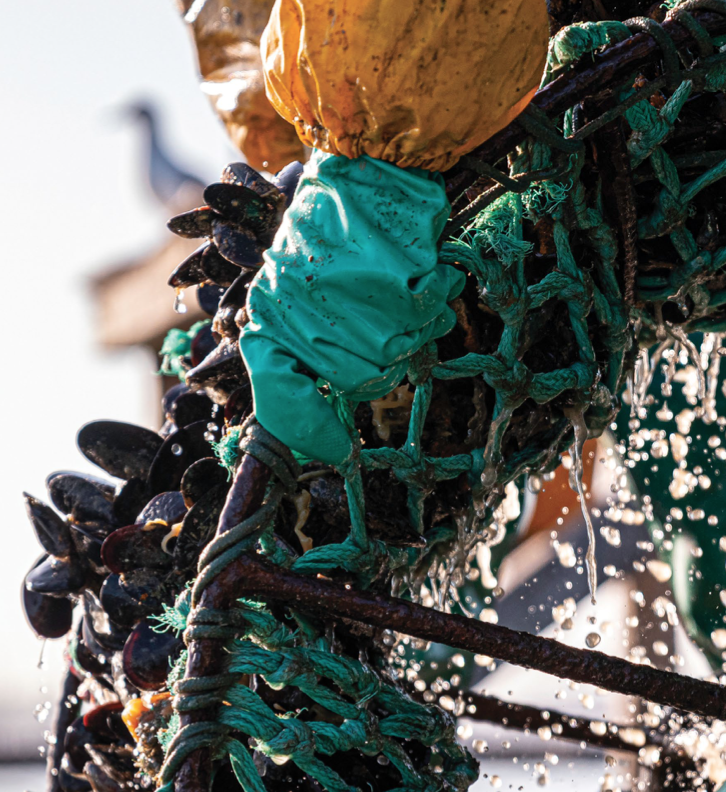 WWF-SASSI 2024 report