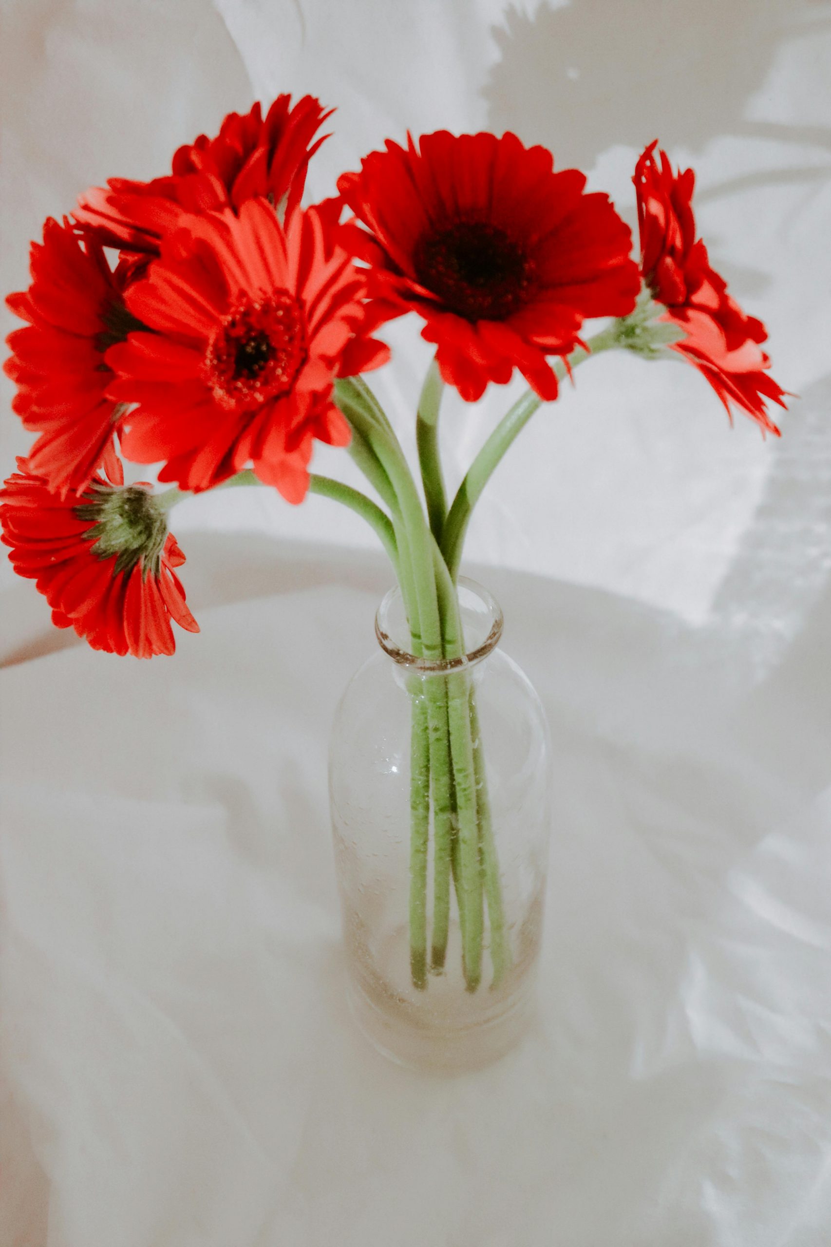 flower arrangements