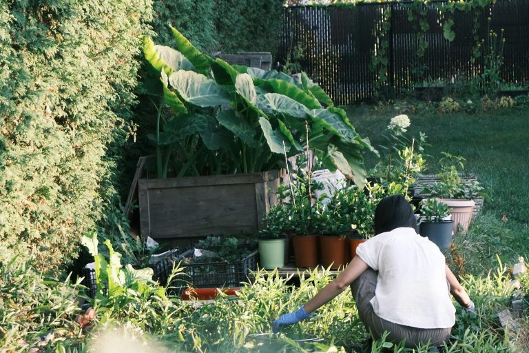 garden-to-table
