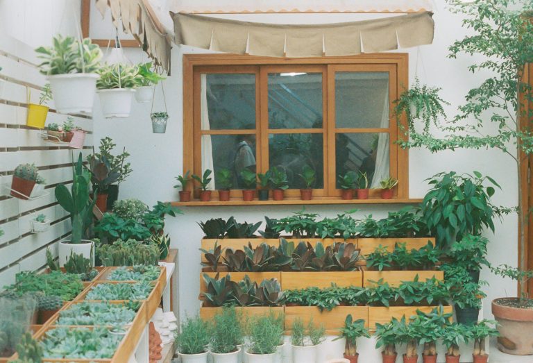 indoor herb garden