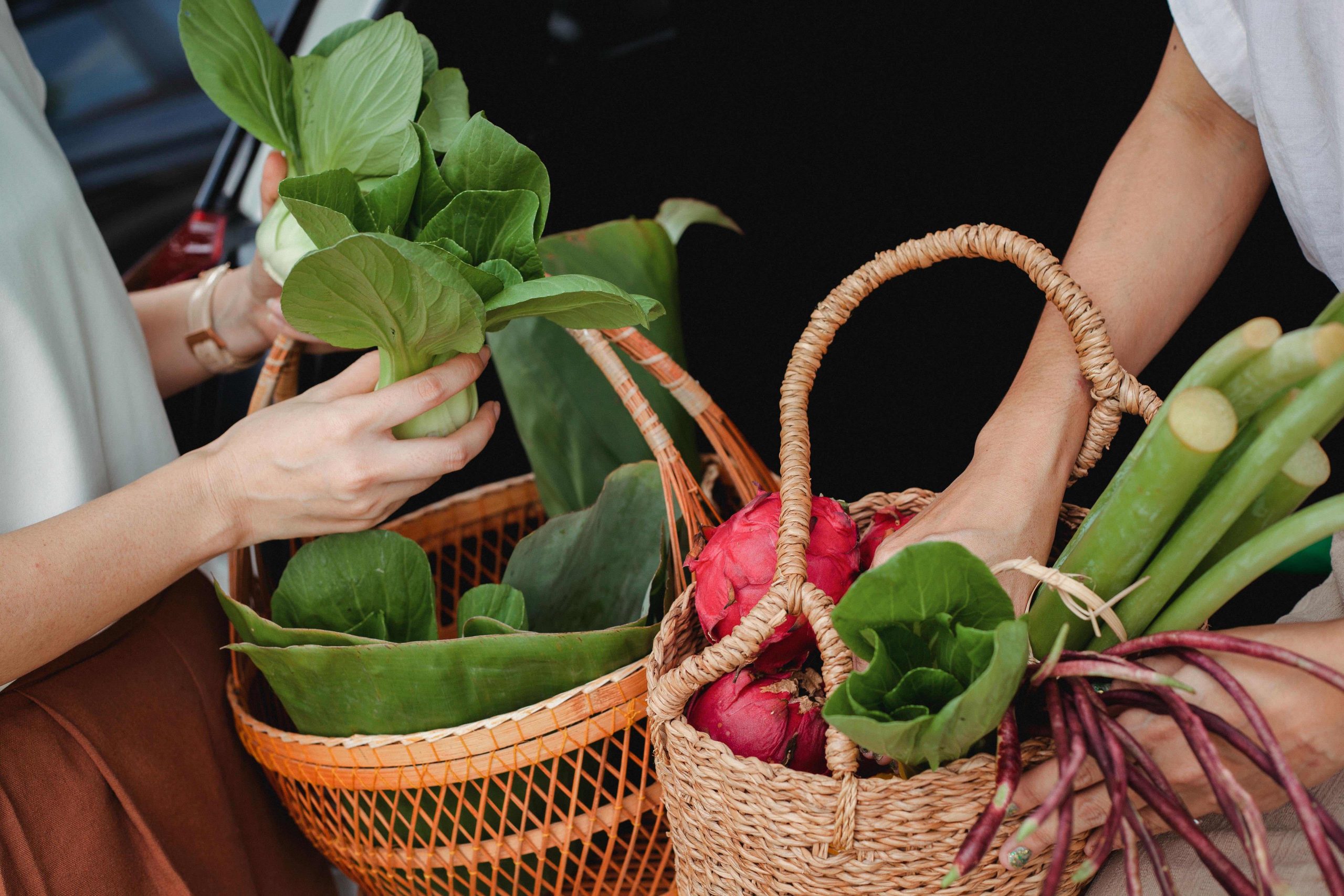 World Food Day