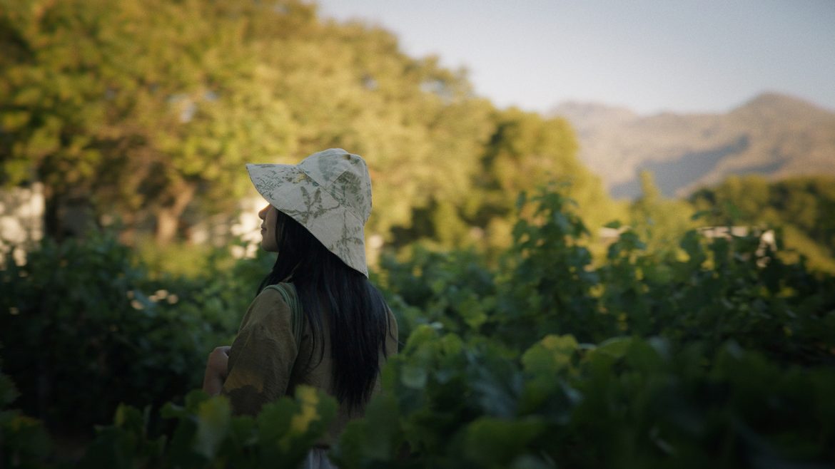 La Motte: Harvest time tastings and celebrated traditions