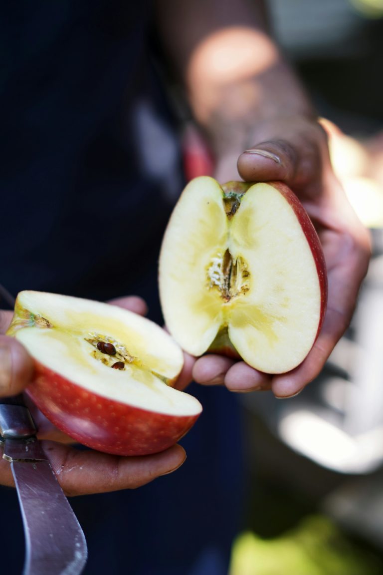 Are apple seeds safe to eat? are apple seeds safe to eat?