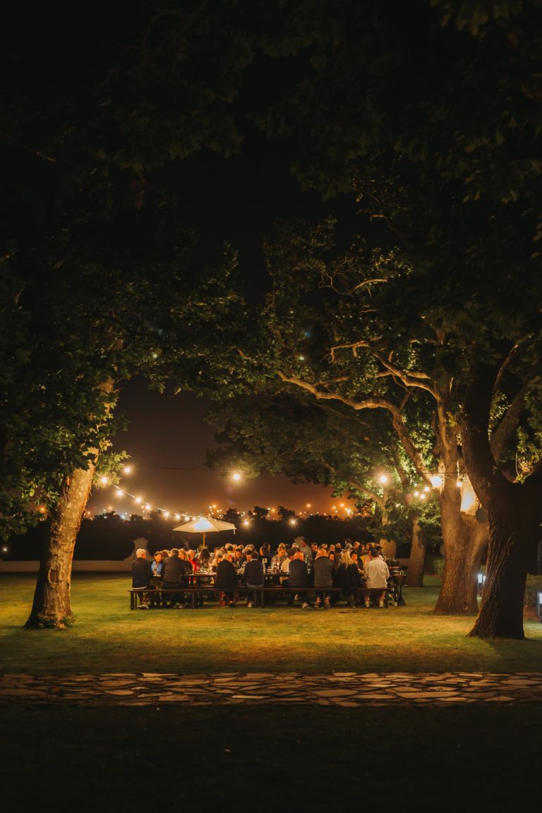 Jazz under the stars, a harvest celebration at Vergenoegd Löw Vergenoegd Löw