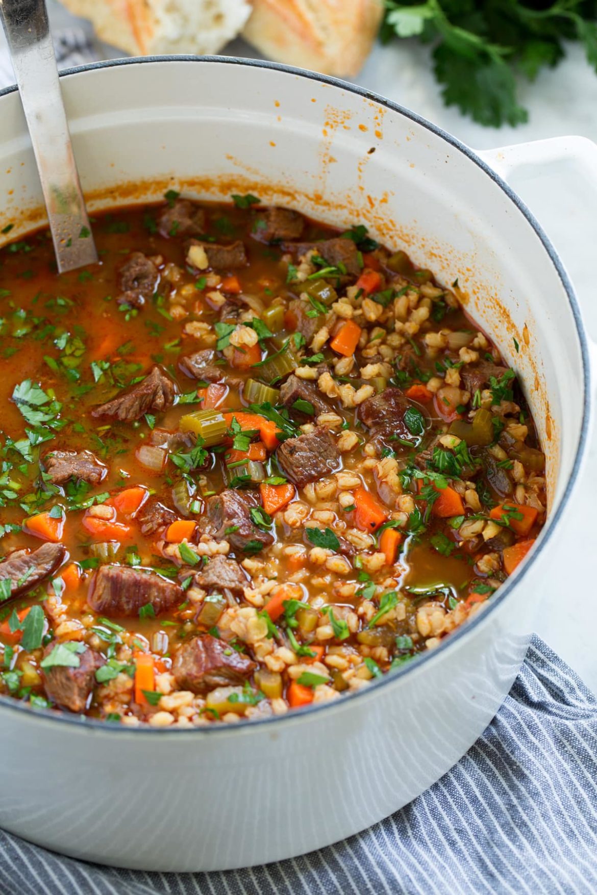 Vegetable, beef and barley soup