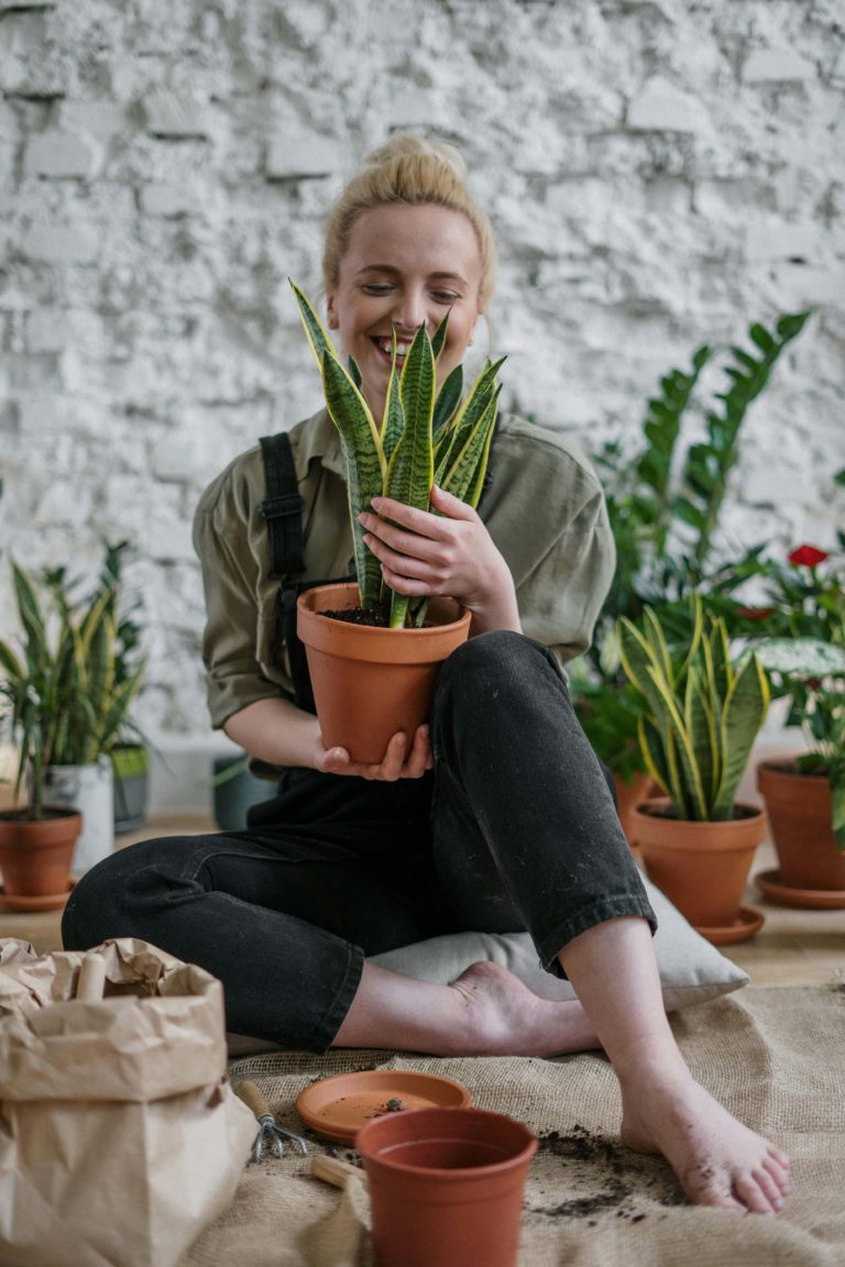houseplants that brighten your space