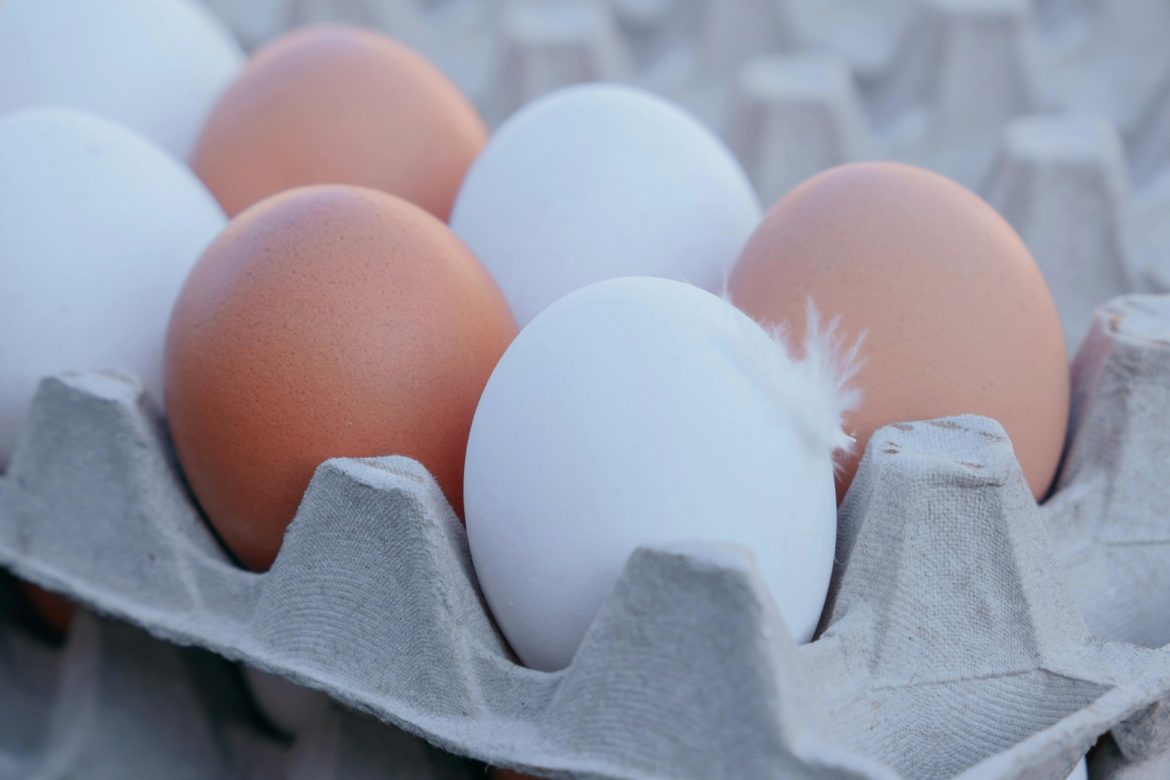 how to tell if eggs are fresh