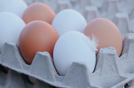 how to tell if eggs are fresh