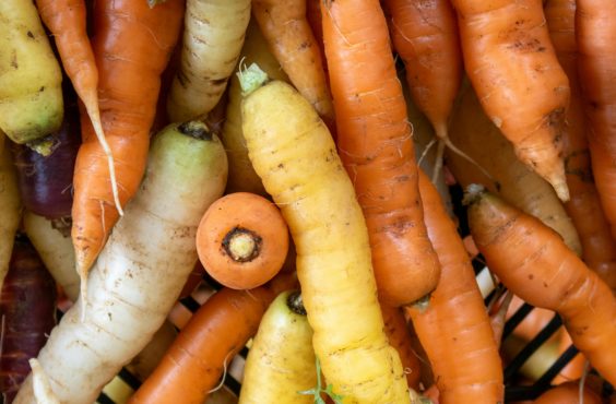 budget veggie series: carrots