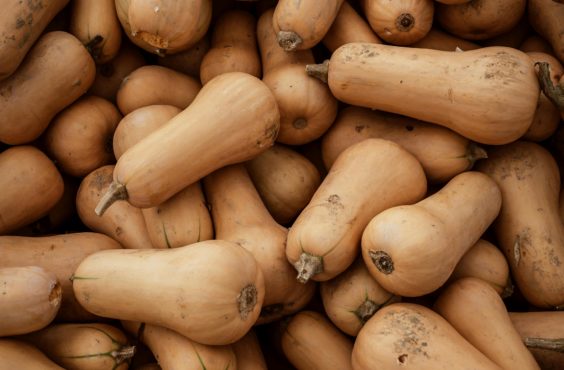 budget veggie series: butternut