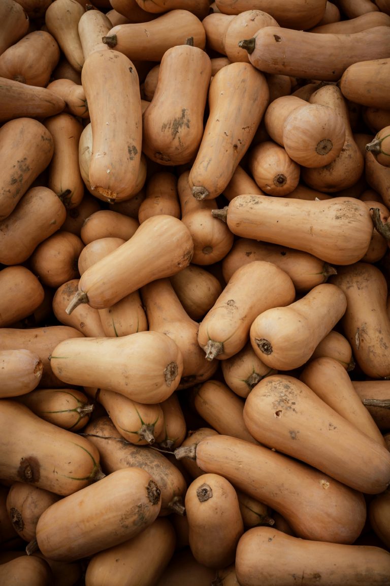 Budget Veggie Series: Butternuts budget veggie series: butternut