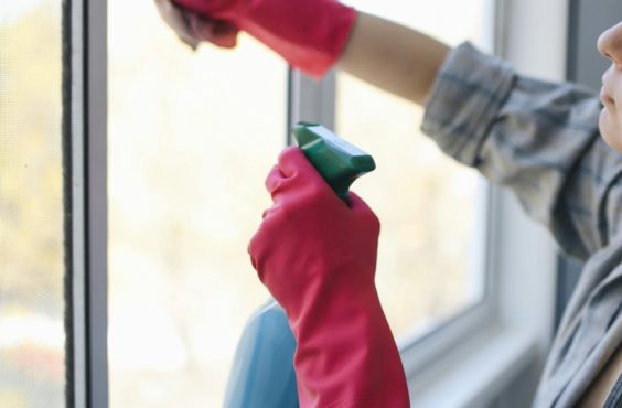 DIY window cleaners