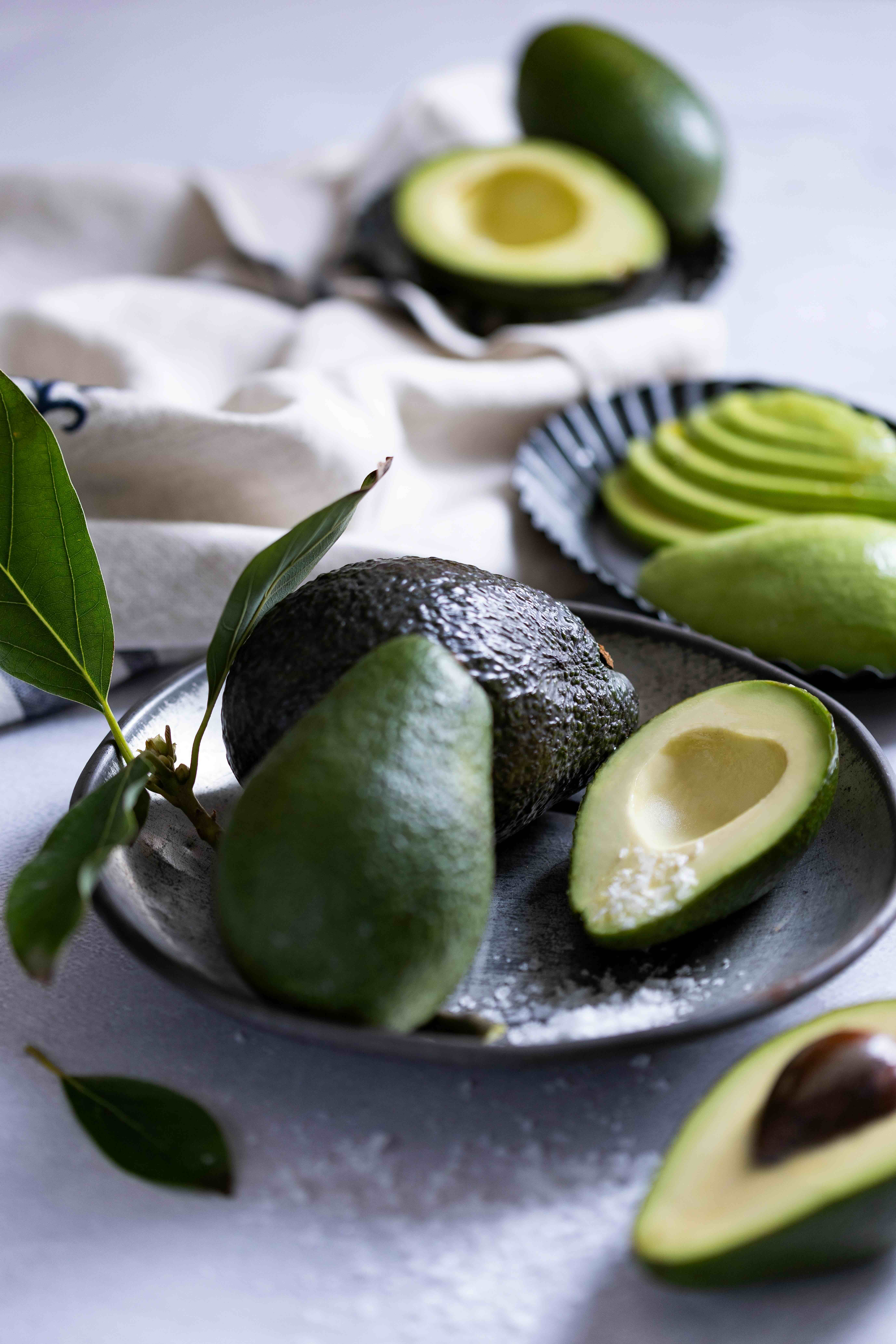 South African Avo's Growing Association