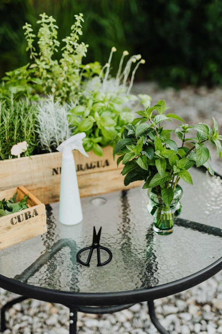 cocktail container gardening